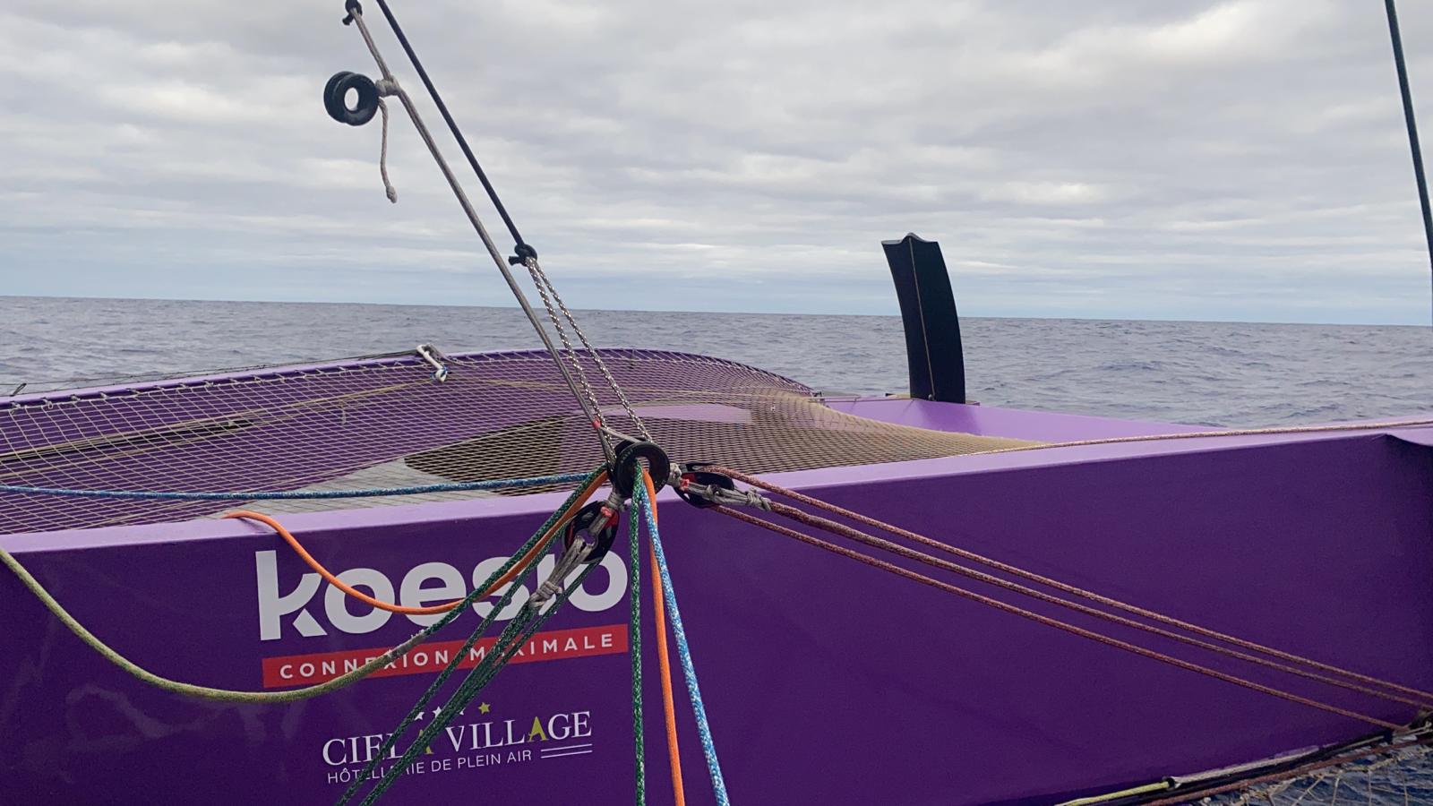 Image for « Gris de chez gris »